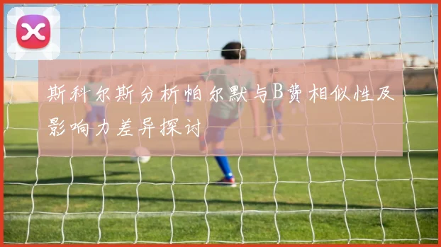 斯科尔斯分析帕尔默与B费相似性及影响力差异探讨