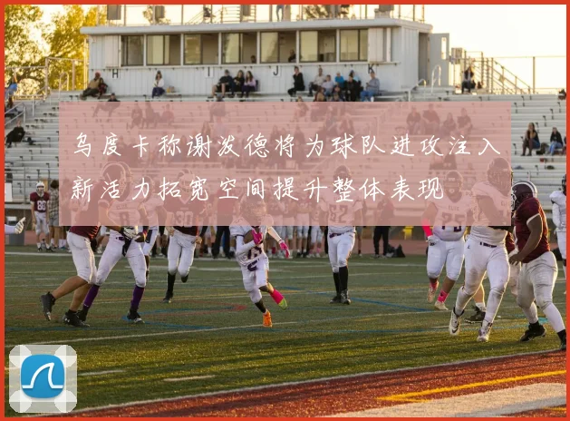 乌度卡称谢泼德将为球队进攻注入新活力拓宽空间提升整体表现