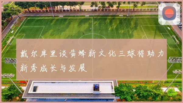 戴尔库里谈黄蜂新文化三球将助力新秀成长与发展